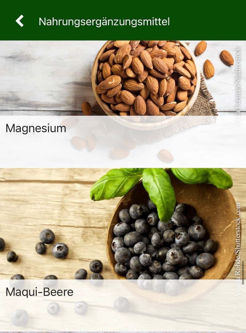 Nahrungsergänzungsmittel - Abbildung vom Mandeln für Magnesium und einer Schale mit Maqui-Beeren